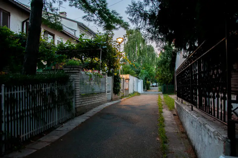 Mirna ulica sa kućama i zelenilom u Beogradu